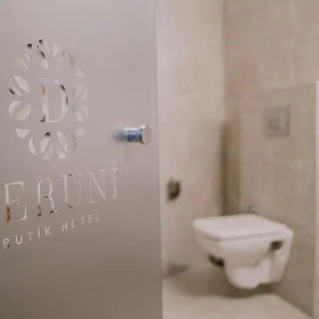 Hotel Deruni Ilica